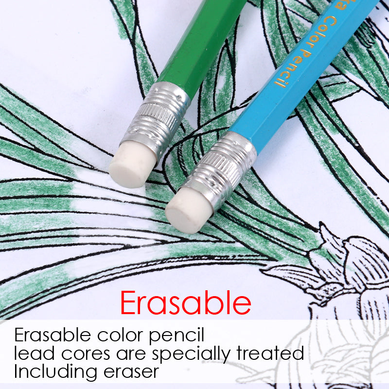 Pack of 24 7" Drawing Erasable Colouring Pencils Set