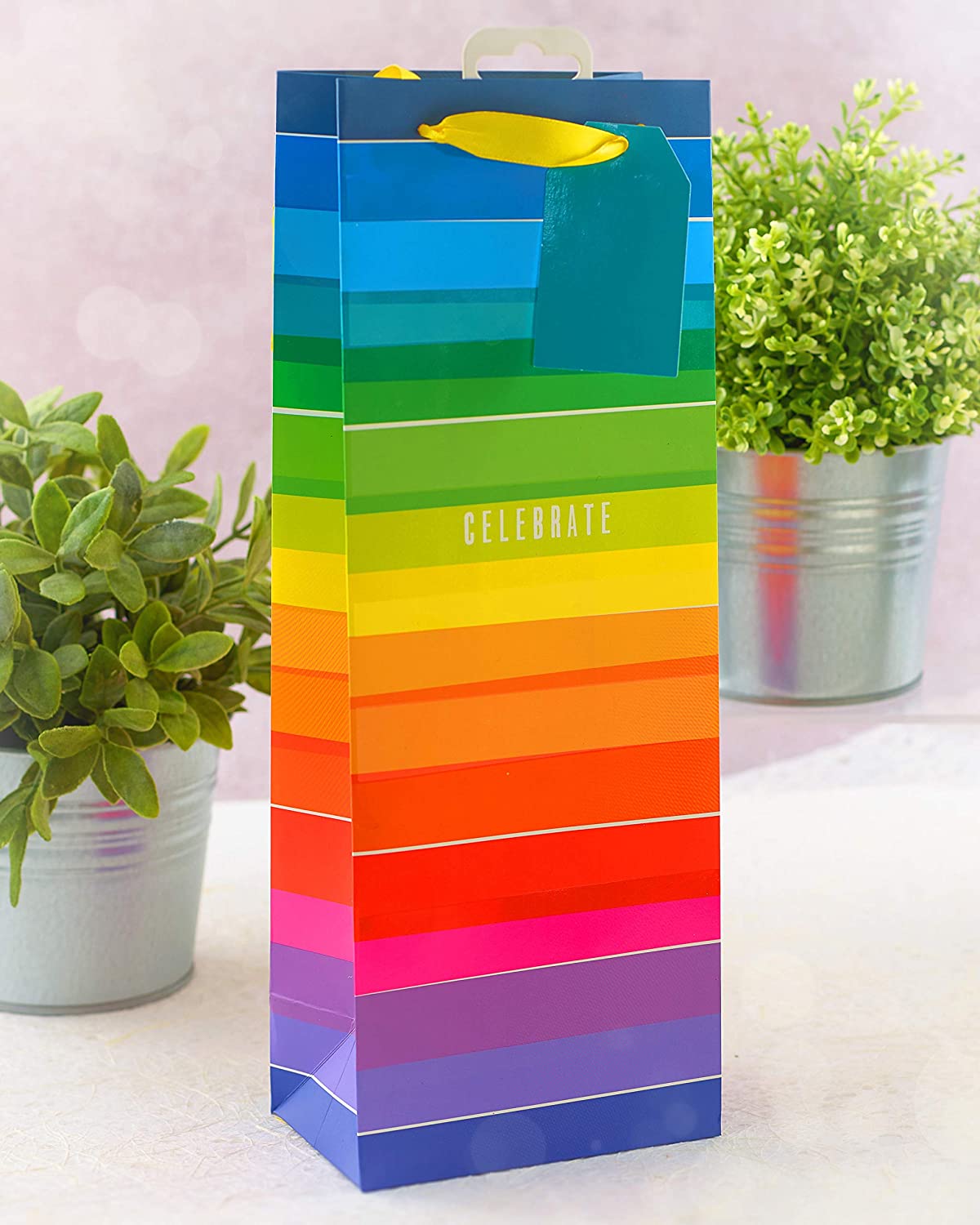 Celebrate Rainbow Stripe Bottle Size Gift Bag 