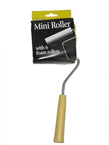 Mini Roller & 6 Foam Rollers