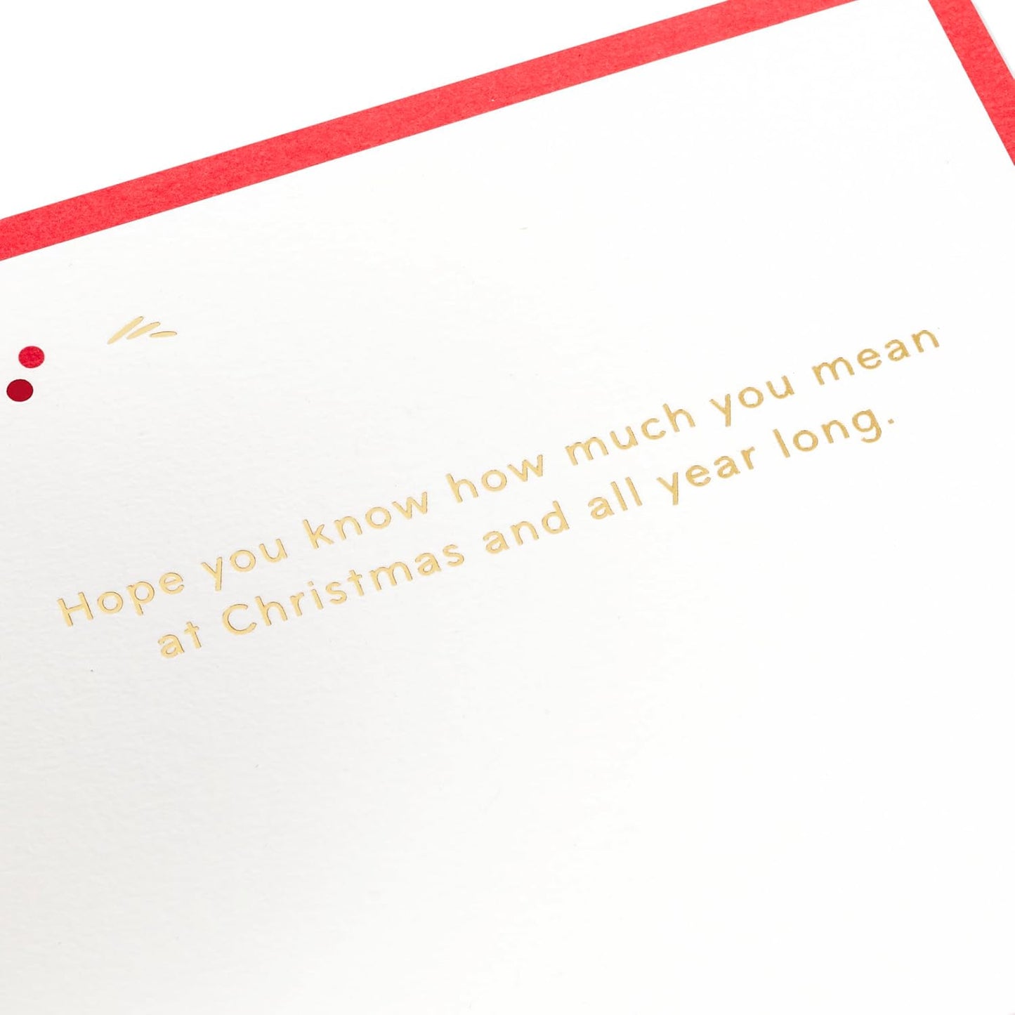 Poinsettia Flowers 3D and Pop Up Christmas Card