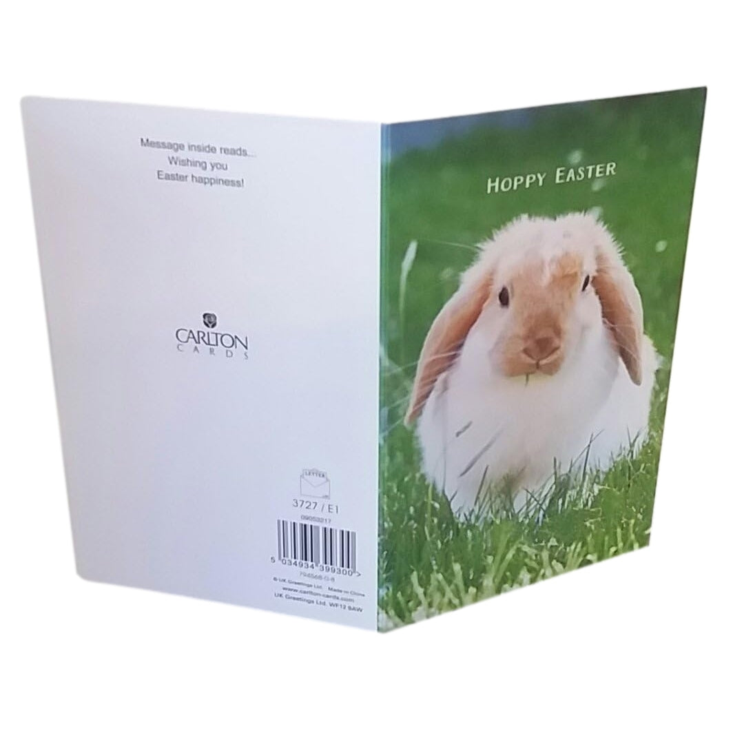 Pack of 5 Bunny Hoppy Easter Greeting Cards