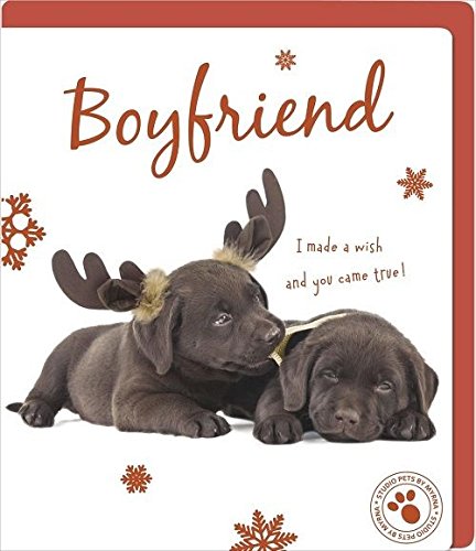 Boyfriend Greeting Christmas Card Studio Pets By Myrna 