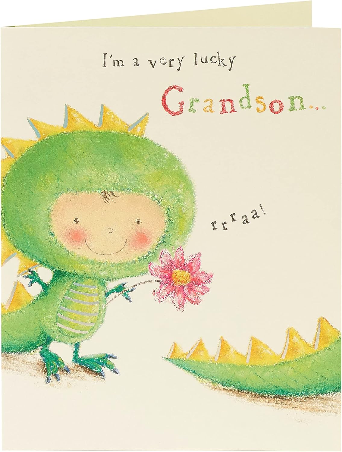 Sweet Dinosaur Design Mother's Day Card From Grandson