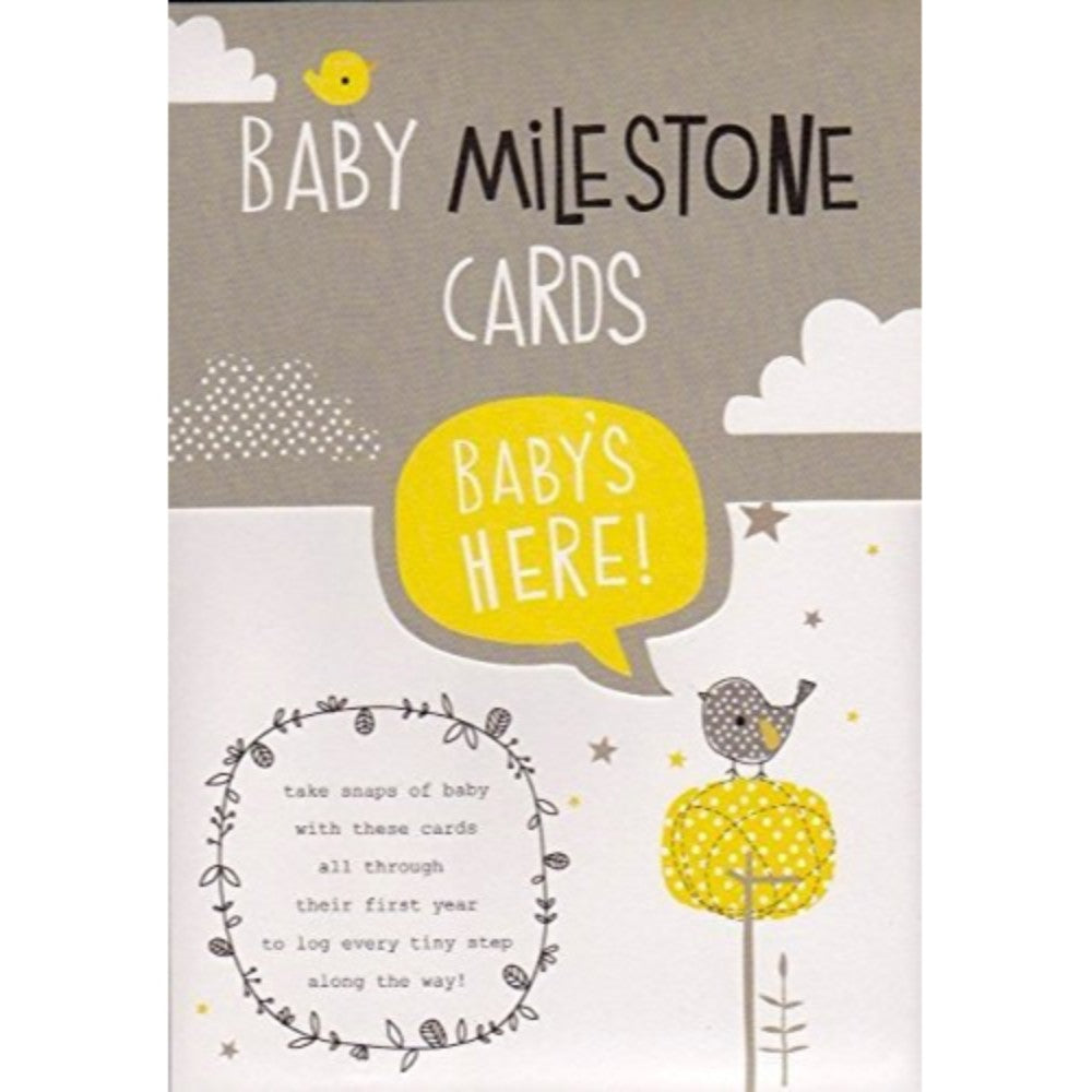 Baby Milestone Hallmark New Cards 6 double sided printed.
