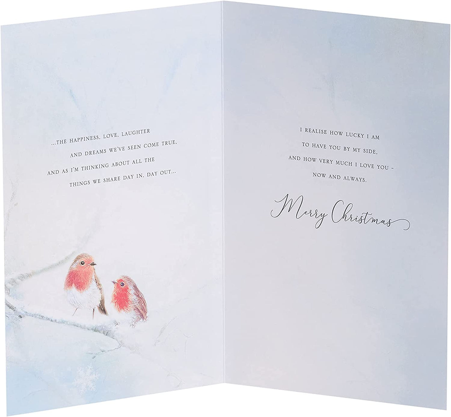 Winter Robin Design One I Love Christmas Card 
