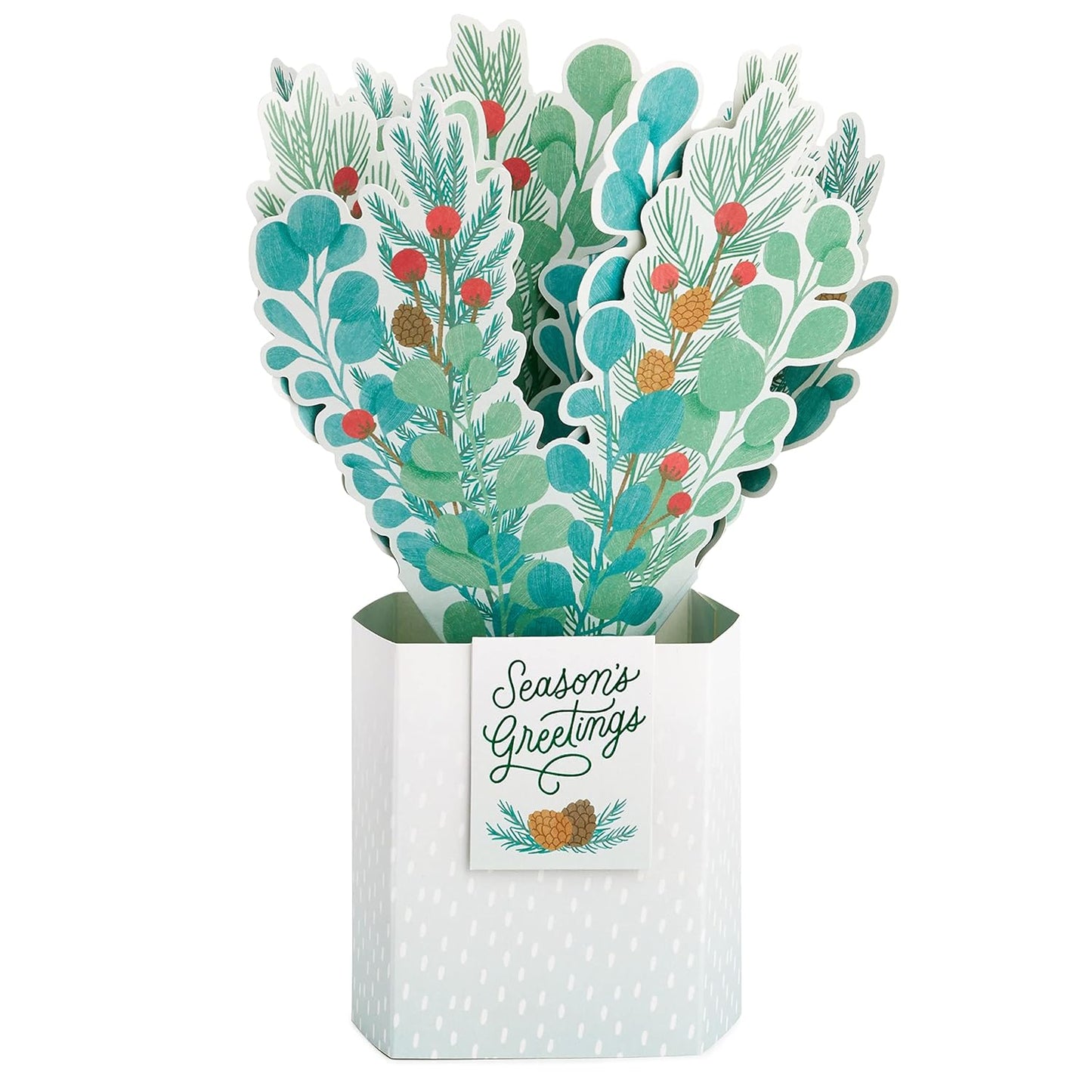 Paper Wonder Plant Season's Greetings Christmas Card