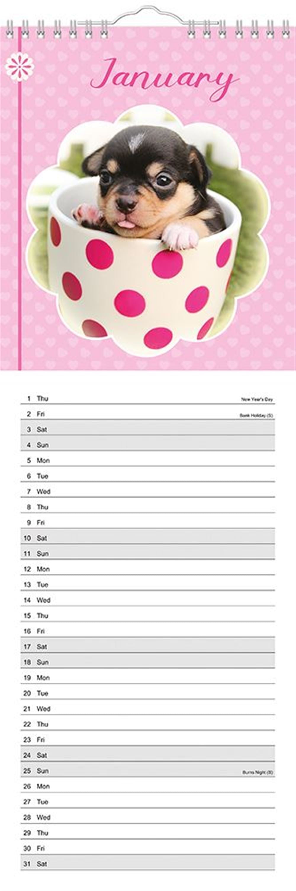 Slim Month To View Calendar 2026 – Photographic Dogs – 143mm x 417mm