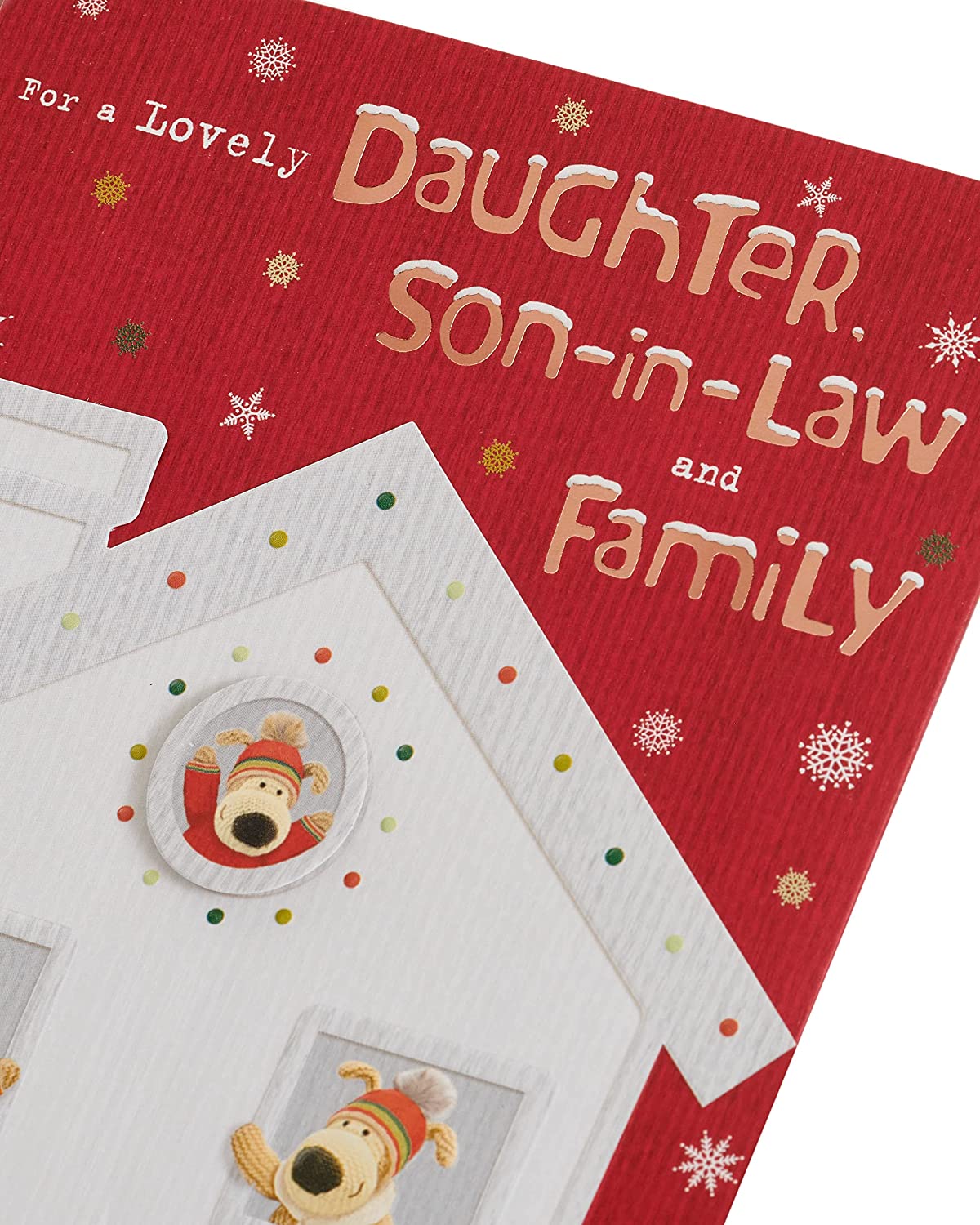 Daughter and Son In Law and Family Boofles Outside and Inside of a House Christmas Card