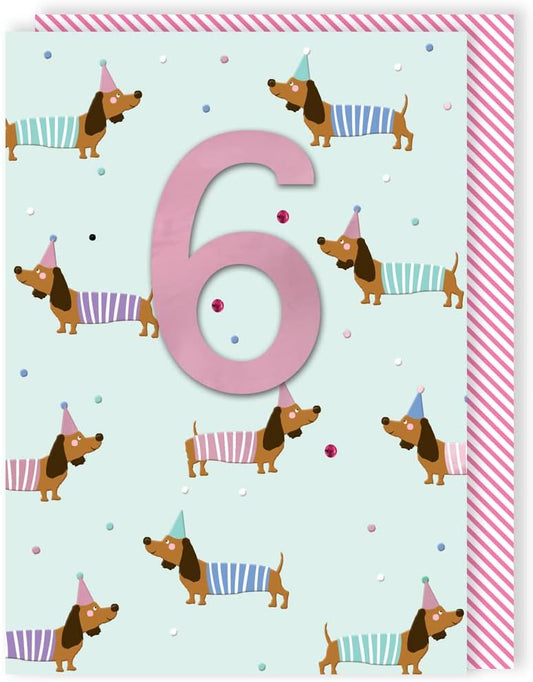 Sausage Dog Embellished 6th Birthday Card
