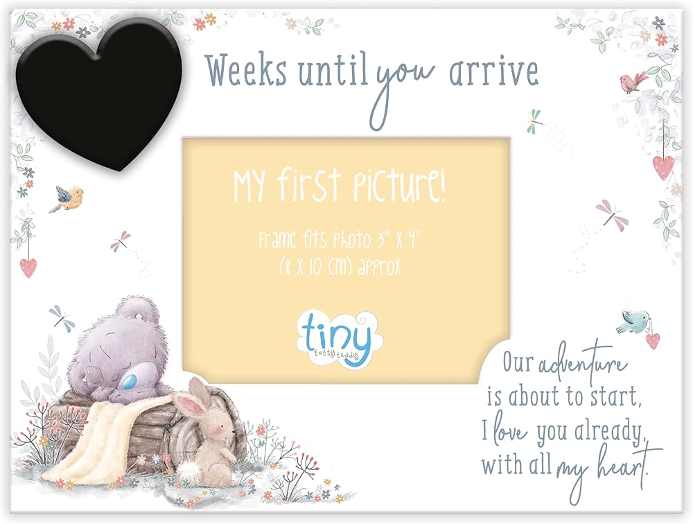 Me to You Tiny Tatty Teddy Baby Countdown Frame Pregnancy Gift
