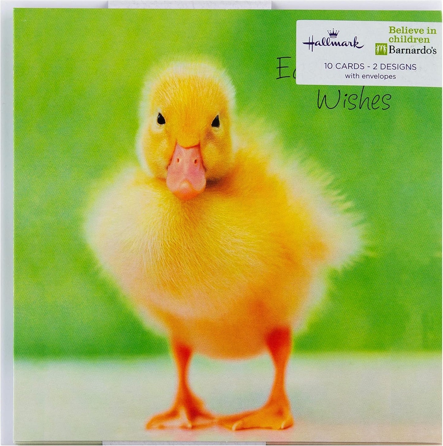 Baby Chicks & Rabbit Pack of 10 in 2 Designs Charity Easter Cards