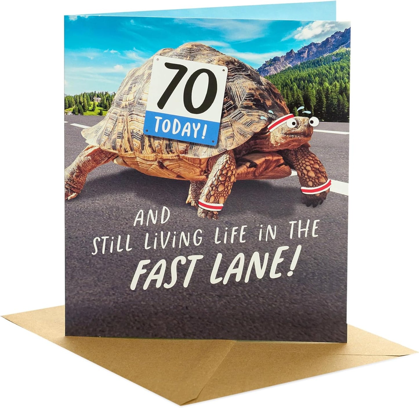 Funny Tortoise Design 70th Birthday Card