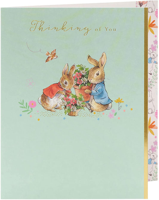 Peter Rabbit Thinking of You Cute Sympathy Card