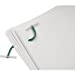 Box of 100 Plastic Ended 152mm Treasury Tags