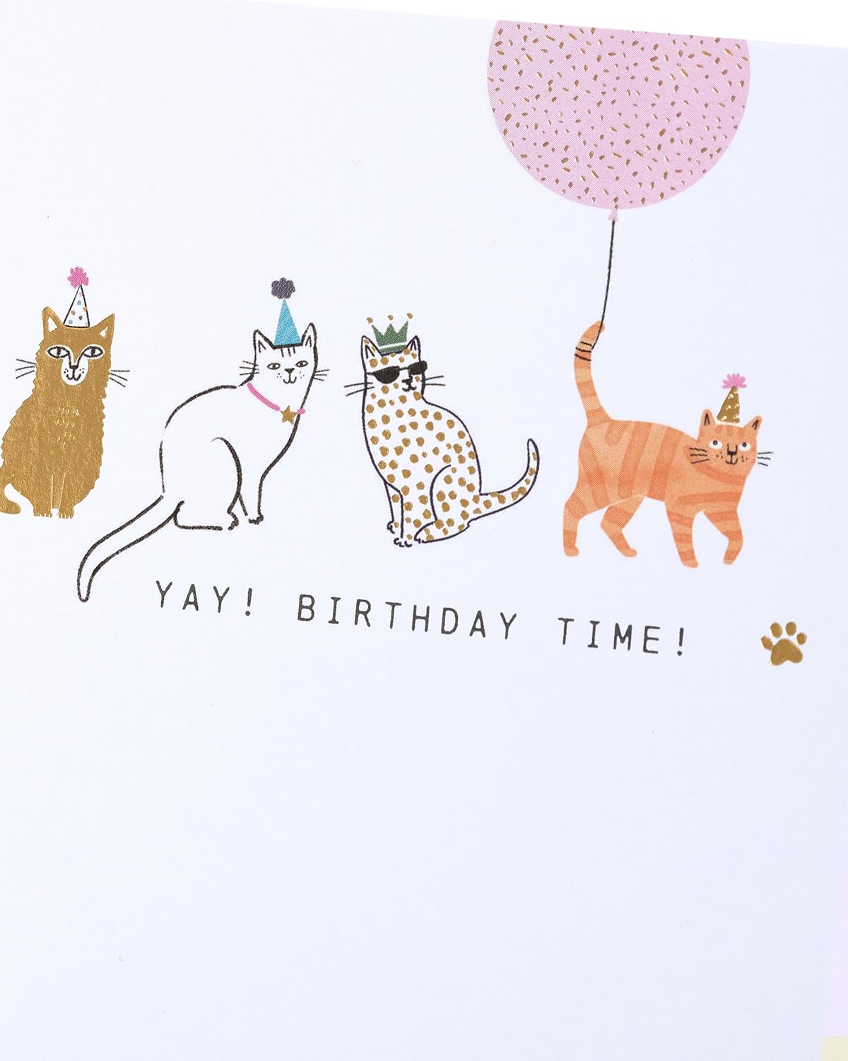 Party Cats Design Birthday Card