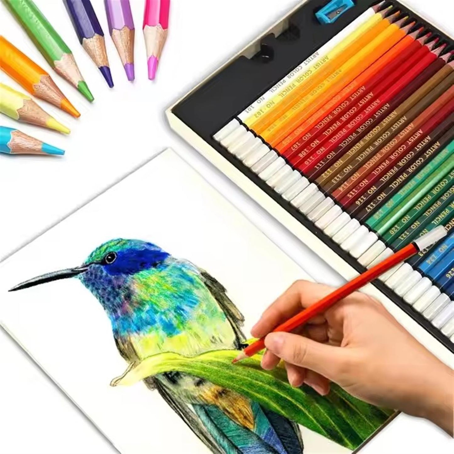 Pack of 120 Oily Colour Pencils With Sharpeners