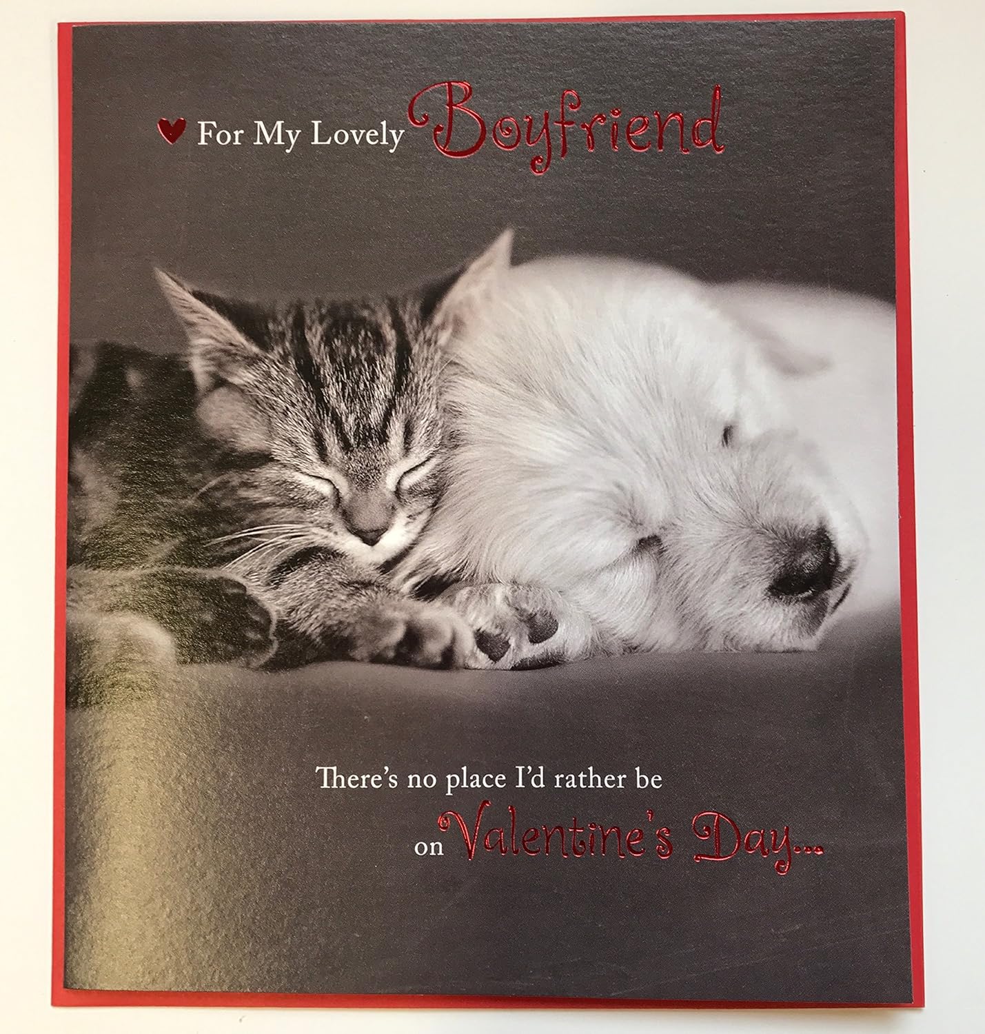 For My Lovely Boyfriend Cat & Puppy Valentine's Day Card