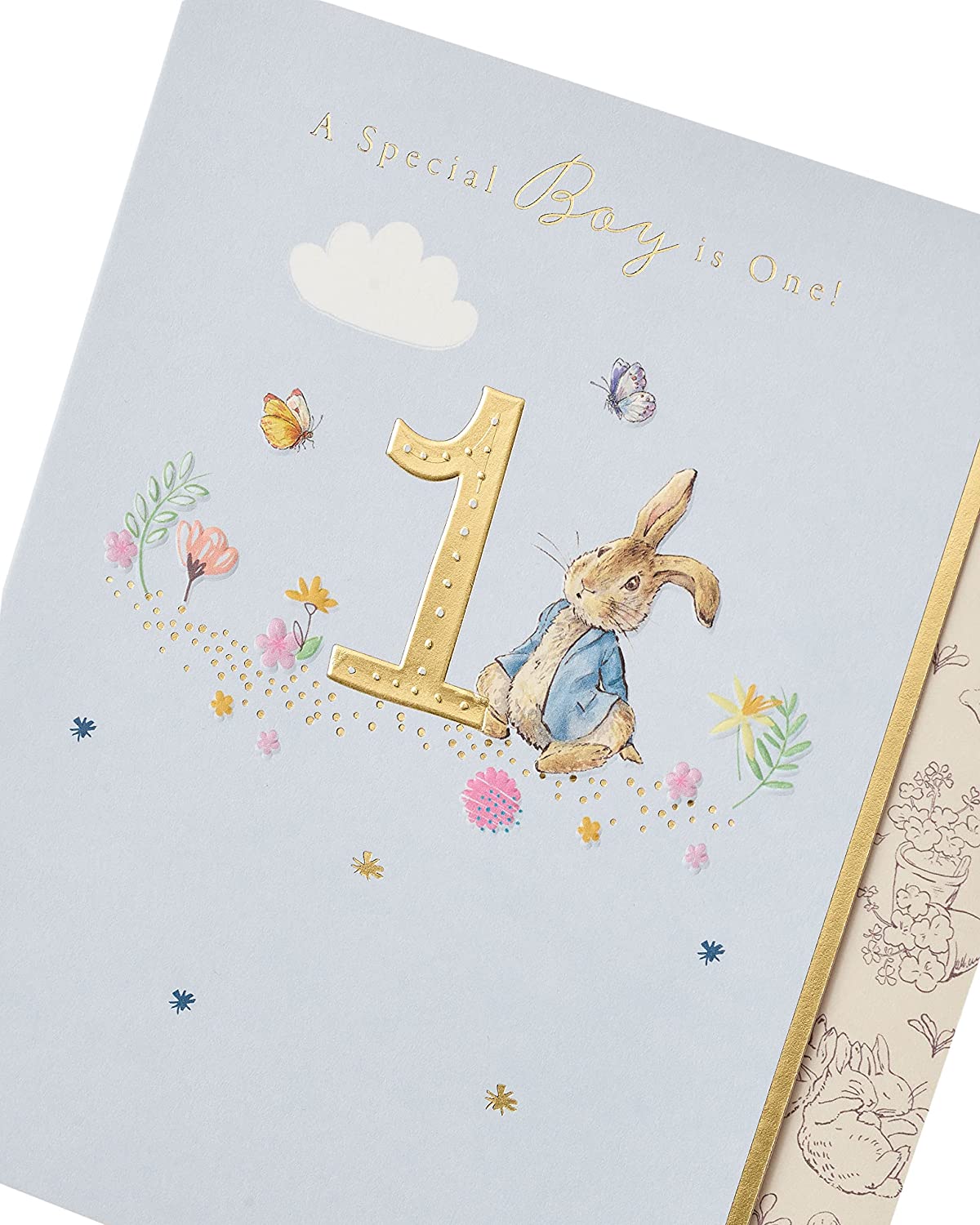 Peter Rabbit Age 1 Special Boy Birthday Card