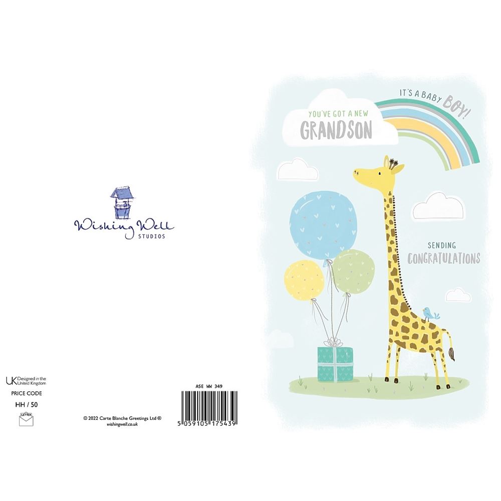 Giraffe, Rainbow & Balloons New Baby Grandson Birth Congratulations Card