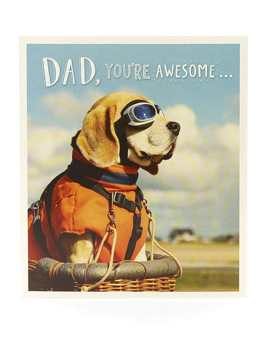 Dad Birthday Card Funny 