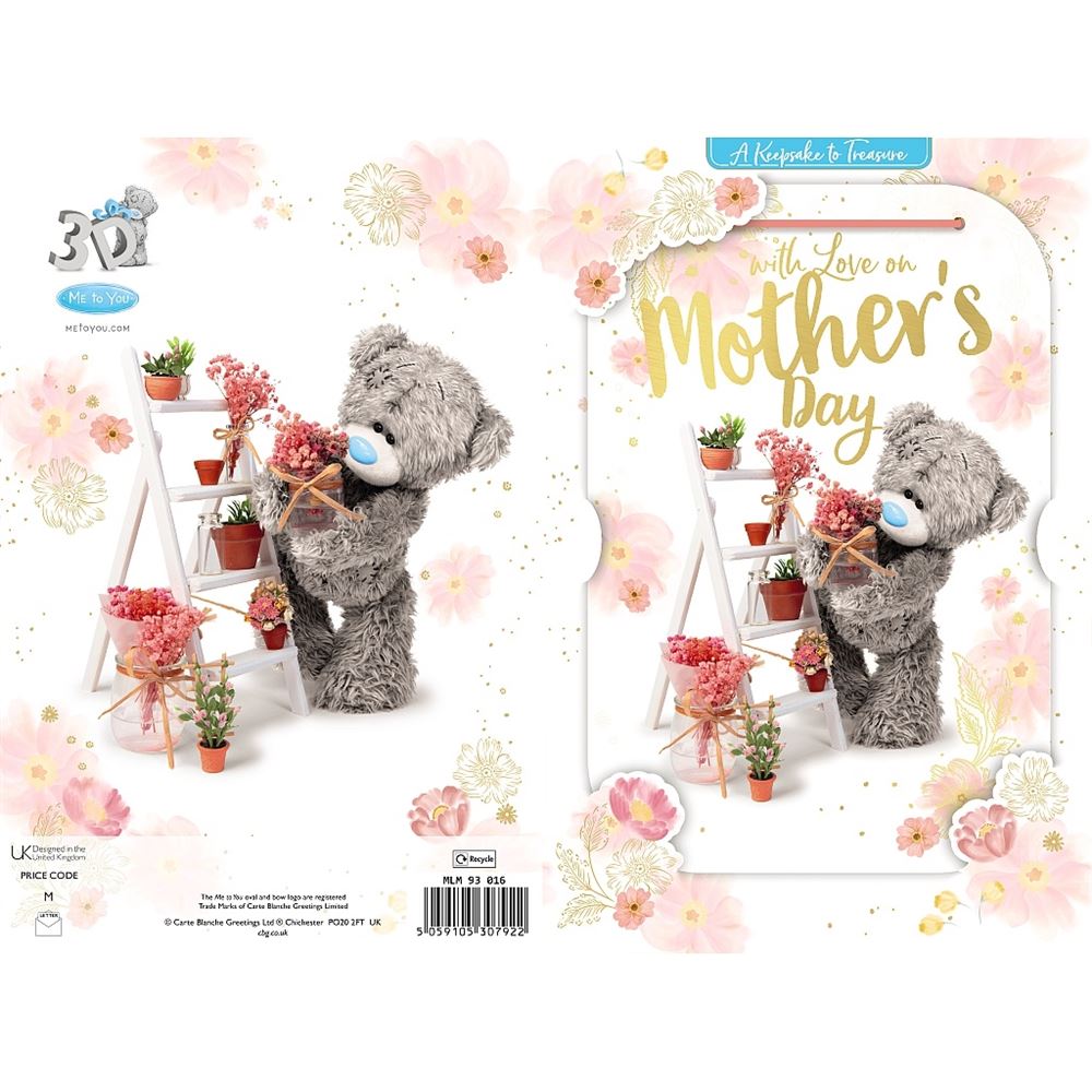 Bear With Ladder And Plant Pots Mother's Day 3D Keepsake Card