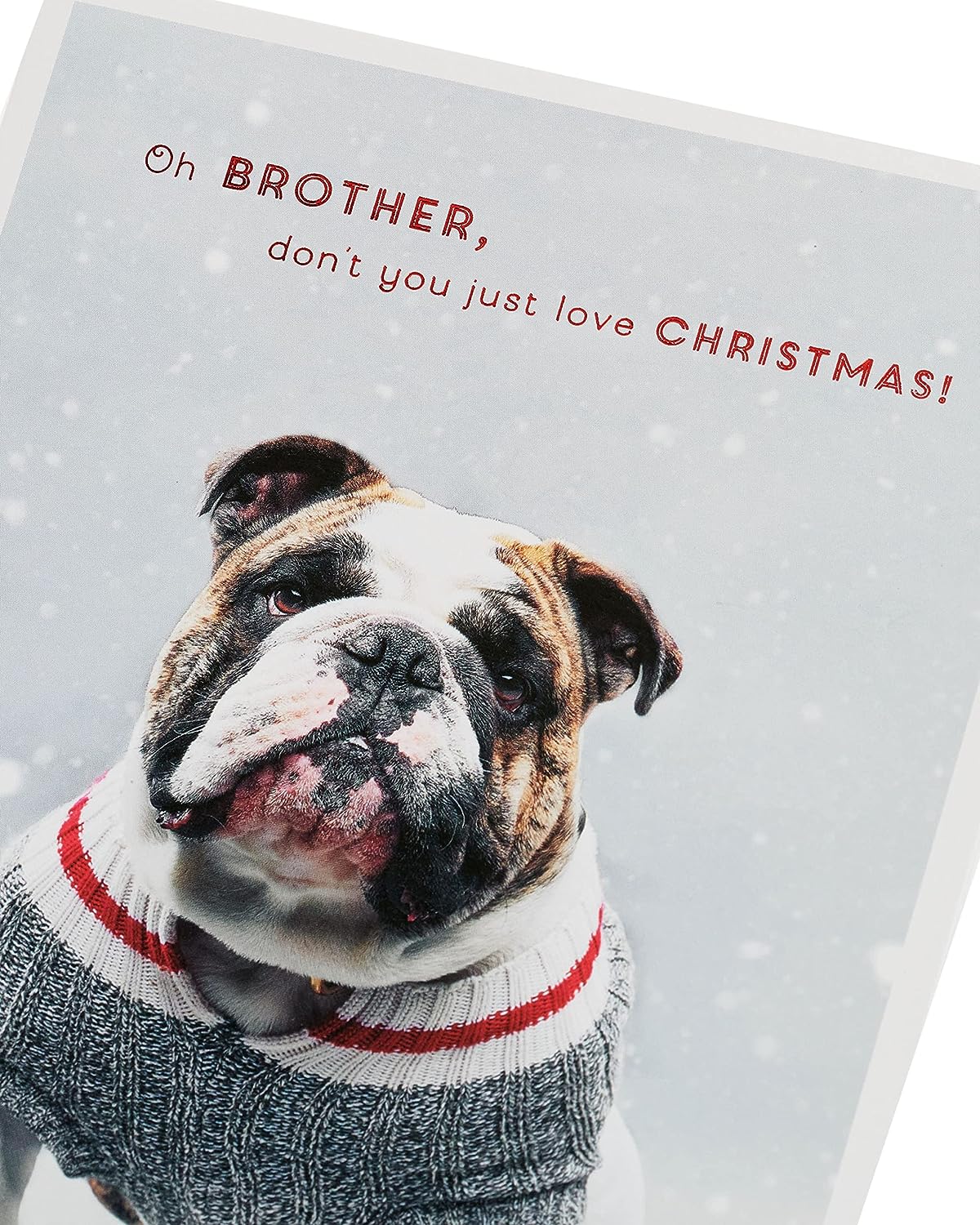 Brother Christmas Card Dog Design 