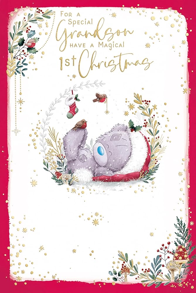 Bear With Robins Grandson's First Christmas Card
