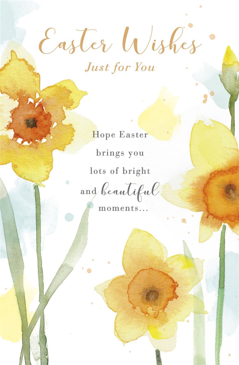 Bright and Beautiful Moments Daffodils Design Easter Card