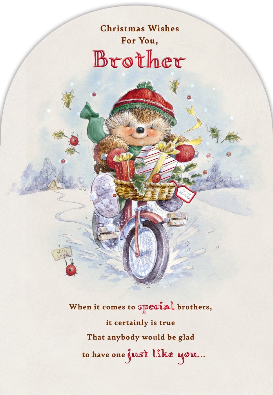 Hedgehog Design Winter Scene Brother Christmas Card
