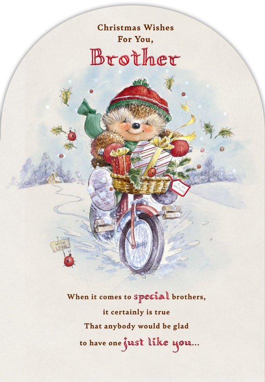 Hedgehog Design Winter Scene Brother Christmas Card