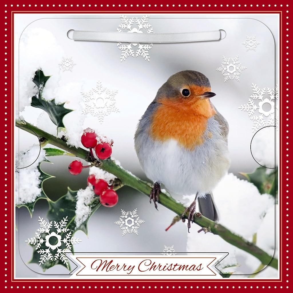 Robin On Holly Branch Photographic 3D Lenticular Merry Christmas Card with Detachable Keepsake