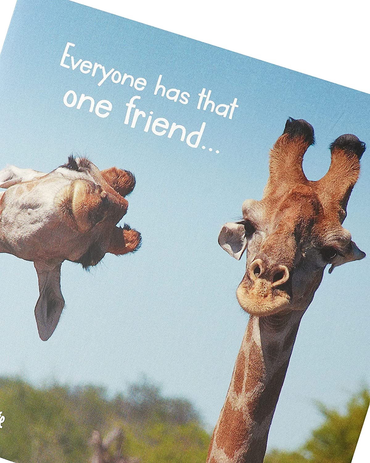 The Comedy Wildlife Giraffe Friend Blank Inside Birthday Card