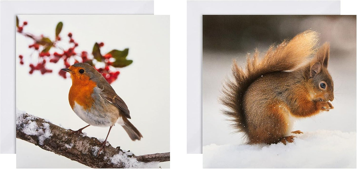 Pack of 16 in 2 National Geographic Designs Christmas Cards