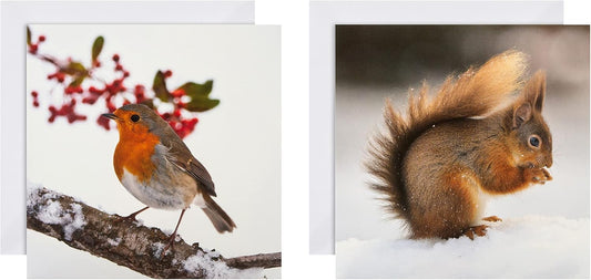 Pack of 16 in 2 National Geographic Designs Christmas Cards