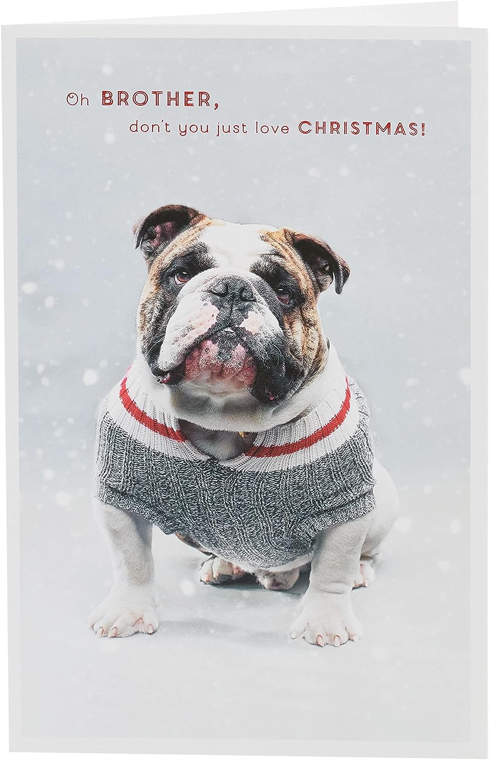 Brother Christmas Card Dog Design 