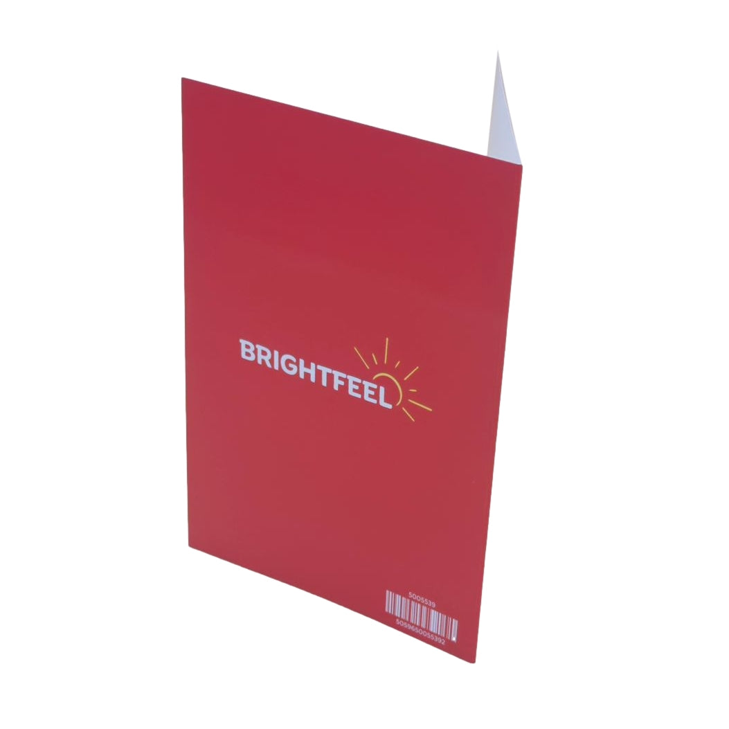 Pack of 20 Reindeer Small Blank Christmas Cards with Envelopes