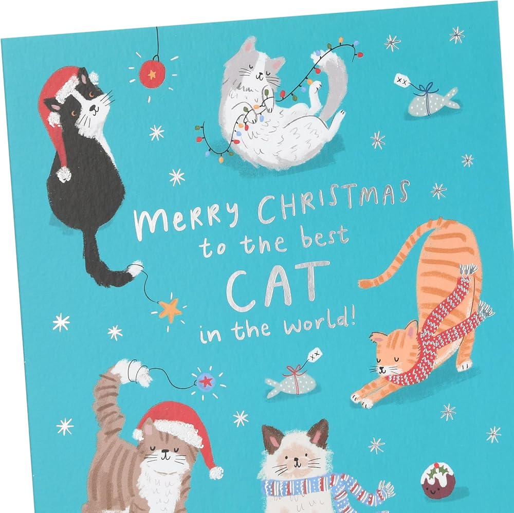 Best Cat In The World Christmas Card