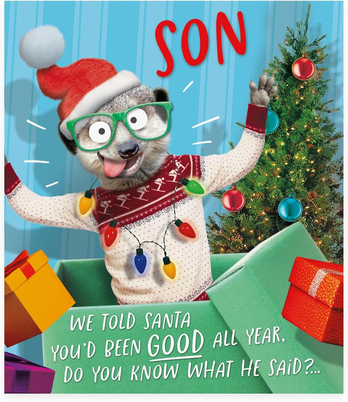 Funny Meerkat Design Son Christmas Card