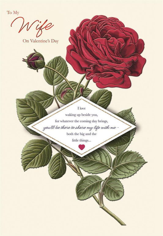 To My Wife "Share My Life" Valentine's Day Greeting Card 