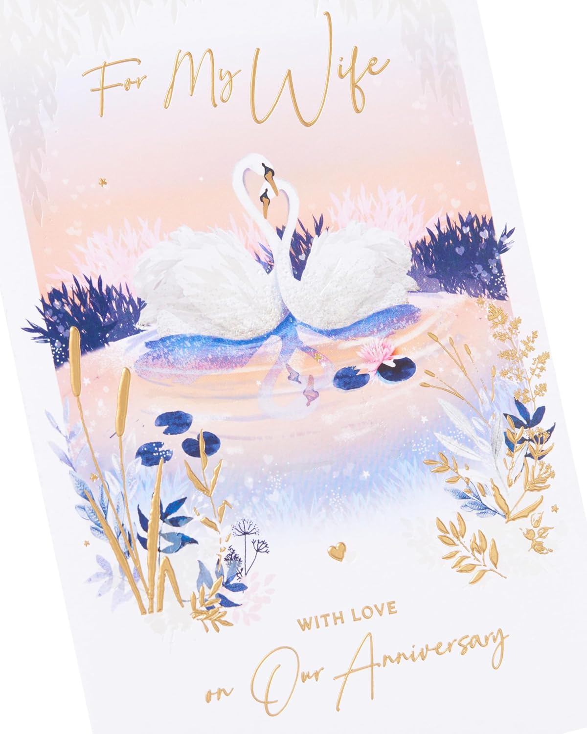 Romantic Swans Design Wife Wedding Anniversary Card