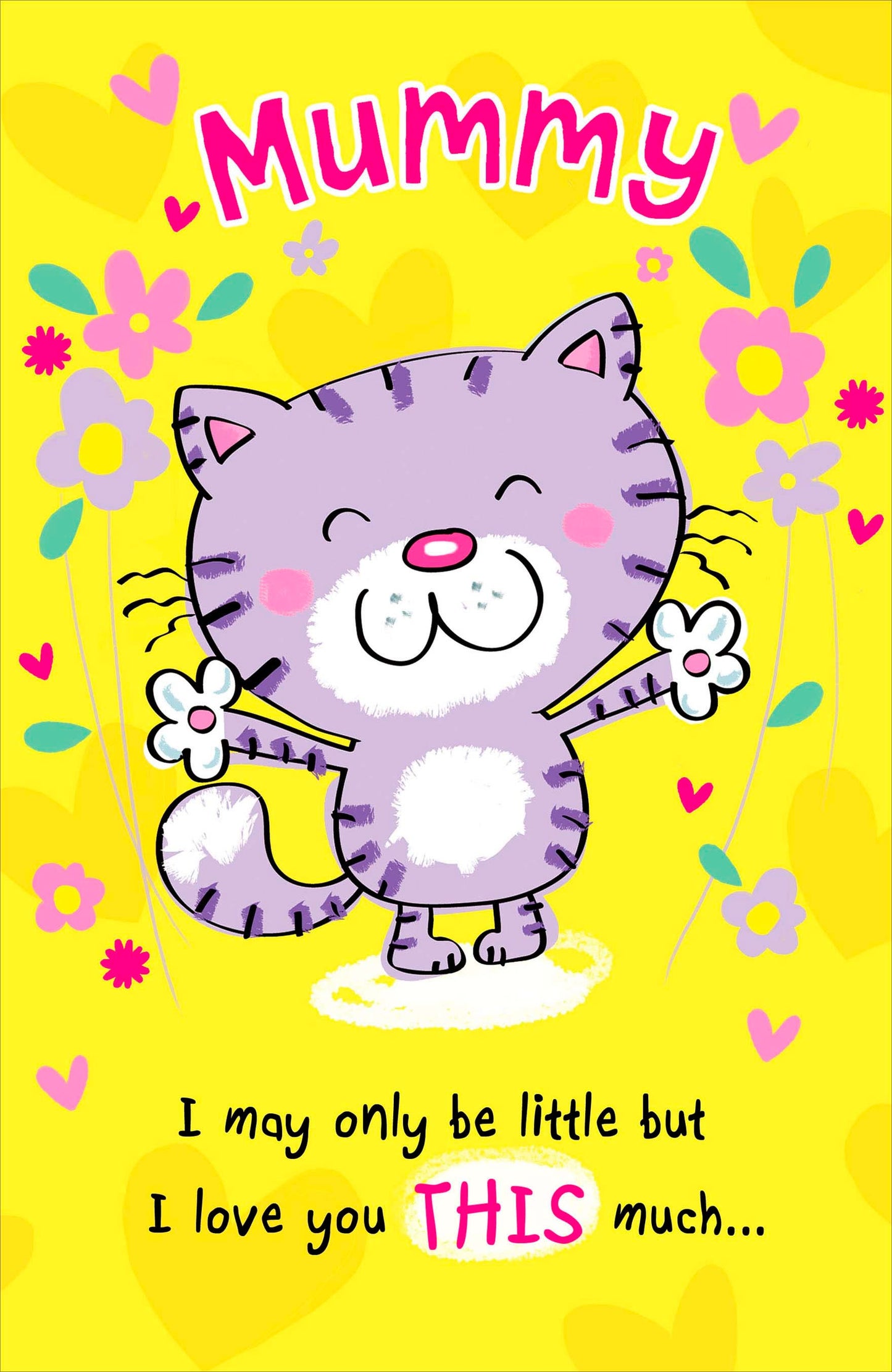 Mummy Birthday Card Pop Up I Love You This Much