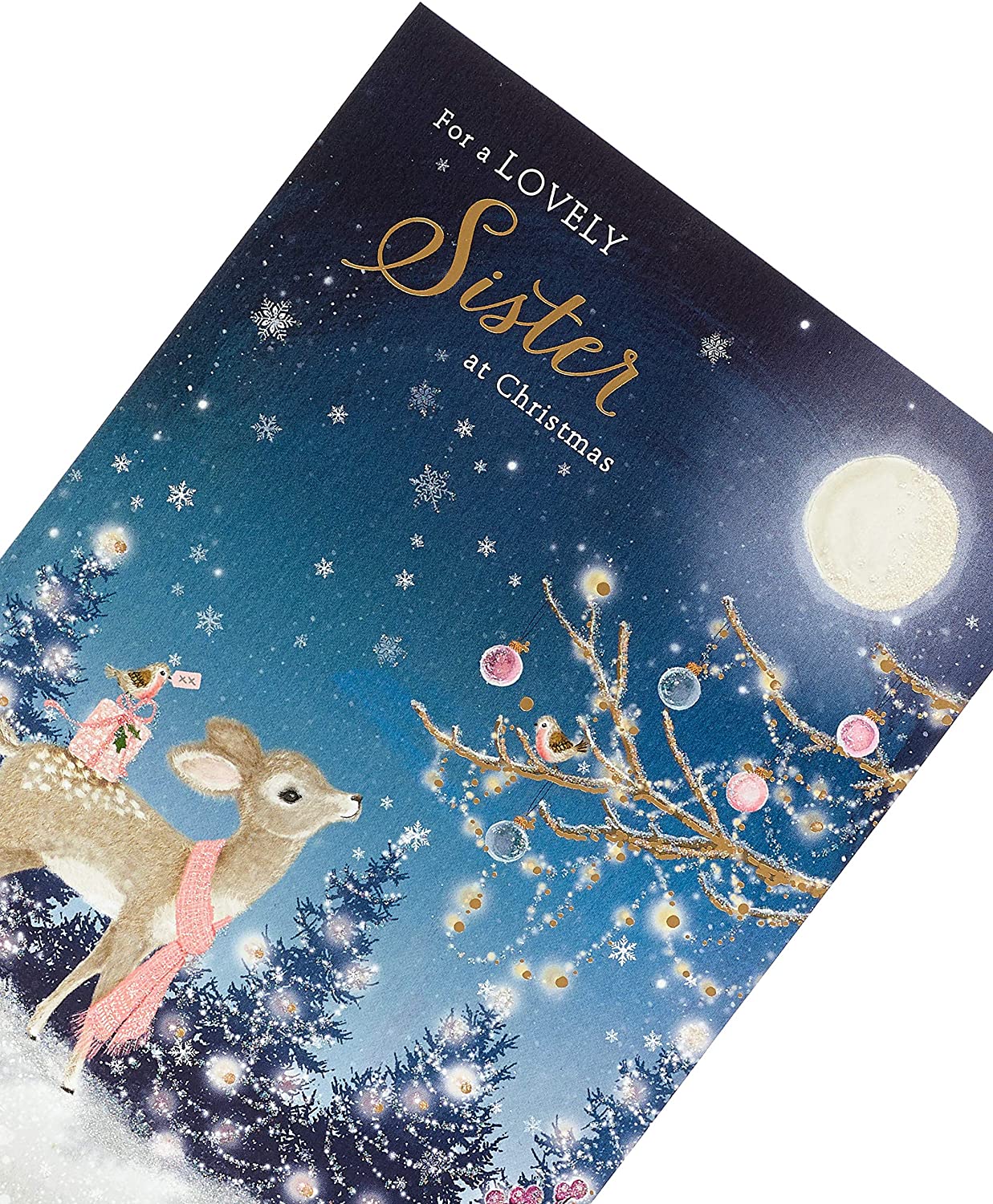 Sister Christmas Card Night Scene 