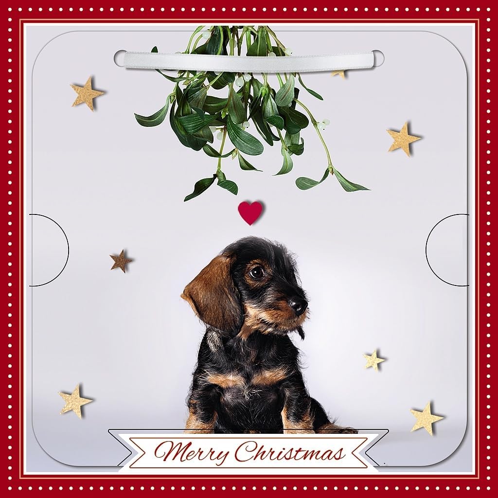 Dog With Mistletoe Photographic 3D Lenticular Merry Christmas Card with Detachable Keepsake