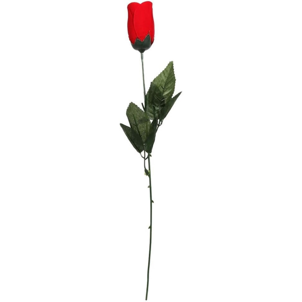 Pack of 12 Roses In Acetate Wrap 45cm - Christmas Valentine Mother's Day Wedding Gift