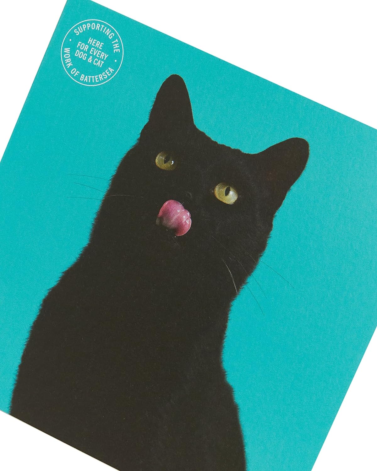 Cat Design Battersea Blank Birthday Card