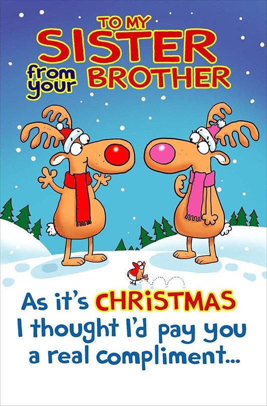 To My Sister From Your Brother Funny Christmas Greeting Card 